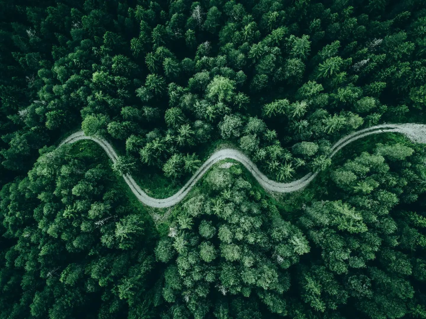 Building a path to a sustainable and talented future